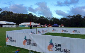 Banner Mesh Raw Challenge.